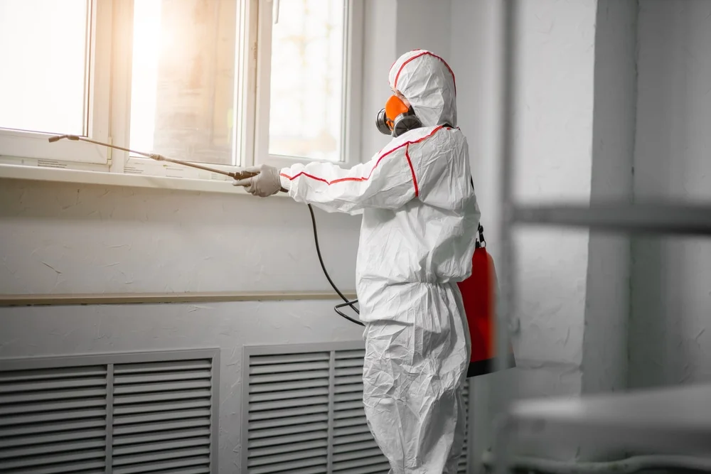 Professional mold remediation services in Sewaren, NJ
